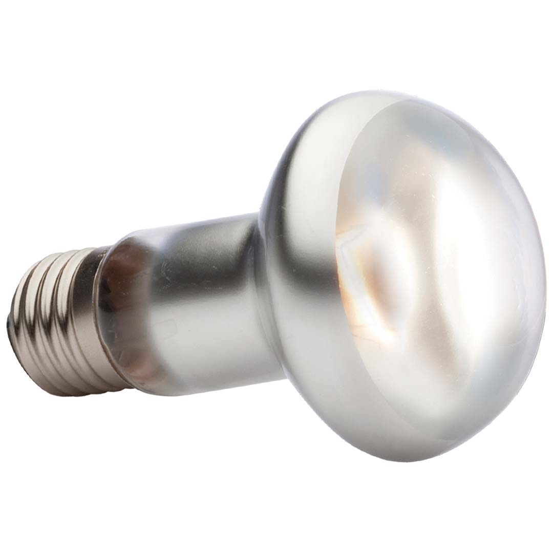 EX tightbeam daglicht warmtespot r20 75W - 6,5x6,5x10cm