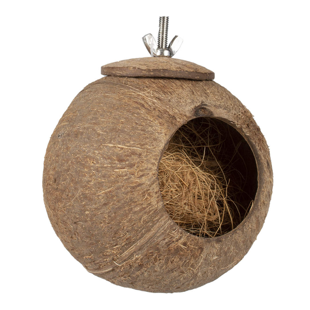 Coconut Jungle Huis