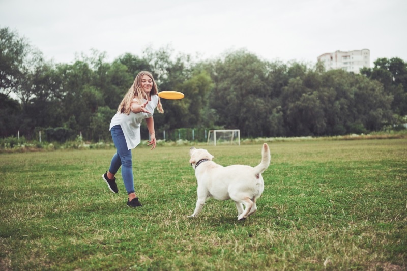 Hoe lang moet je spelen met je hond?