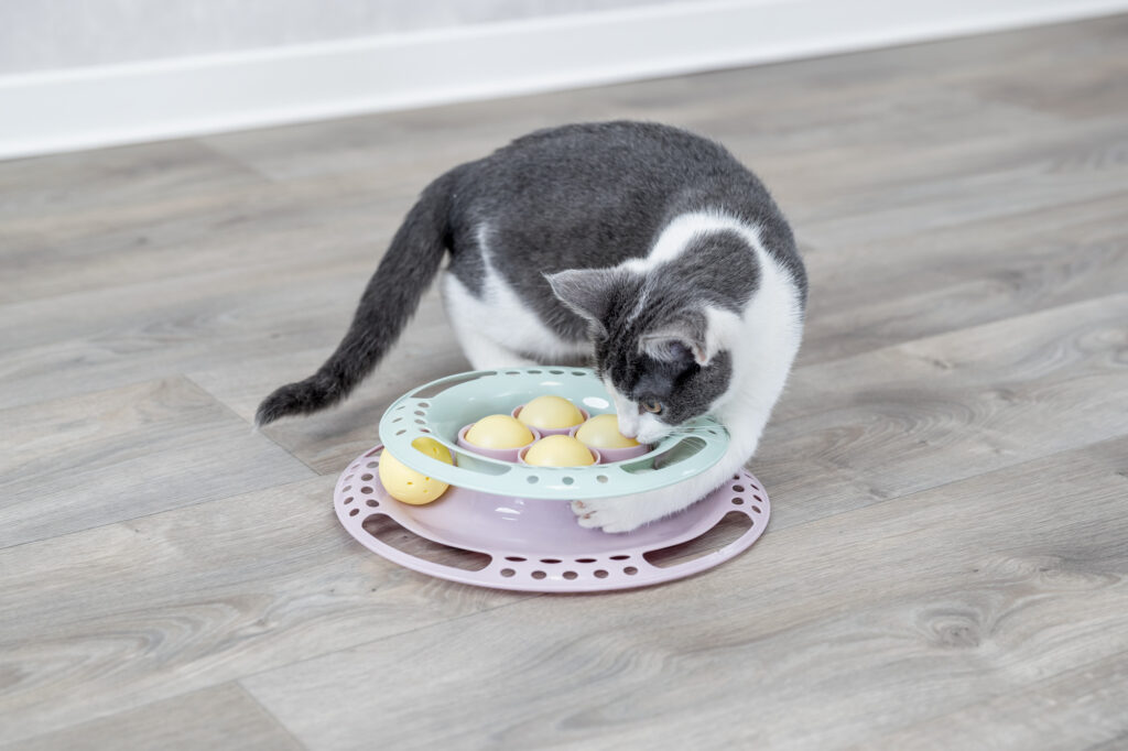 Waar speelt een kat het liefst mee?
