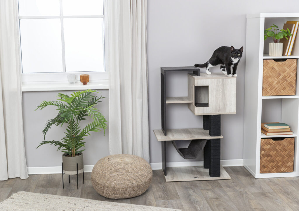 Welke Stoffen Krabben Katten Niet Aan? Begrijpen waarom Katten bepaalde Materialen Vermijden