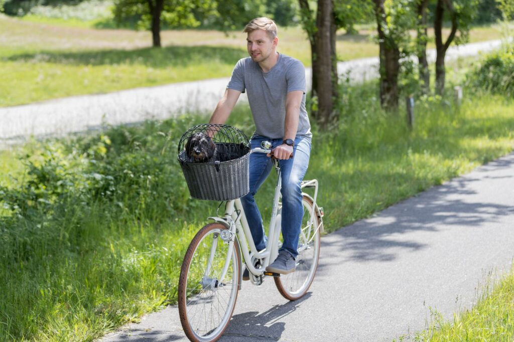 Hoe bevestig je een hond in de fietsmand?