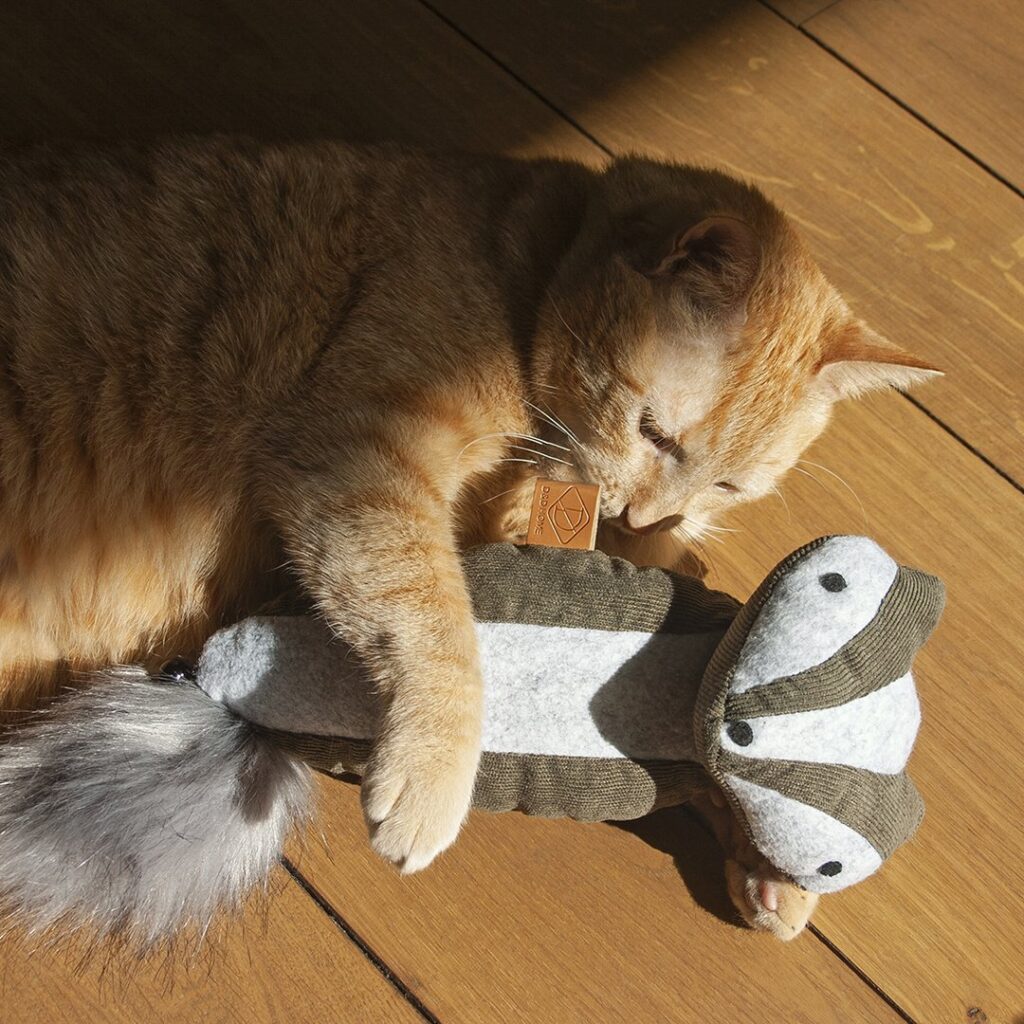 Trappelkussen Kat: De Ultieme Speelervaring voor Jouw Kat!