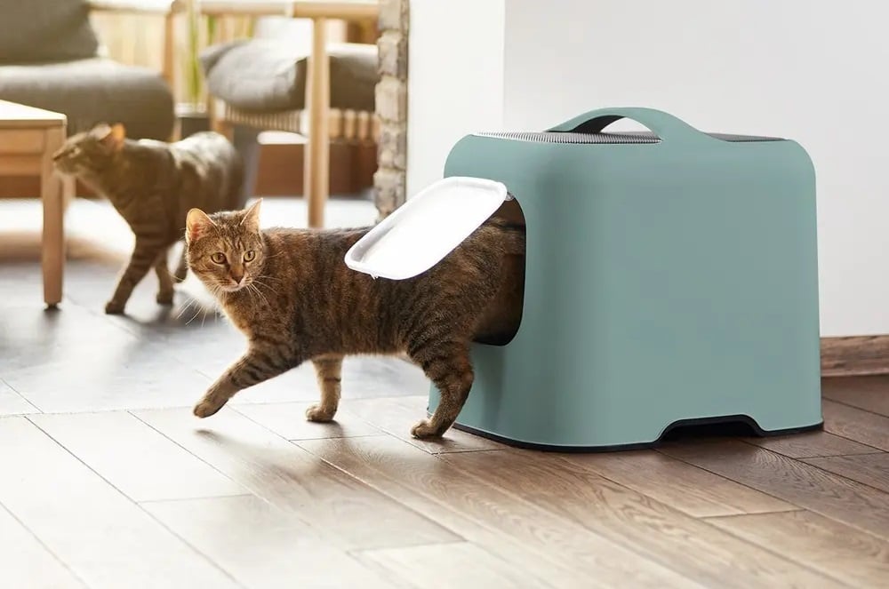 XXL Kattenbakken: Voor Welke Katten Zijn Ze Ideaal?
