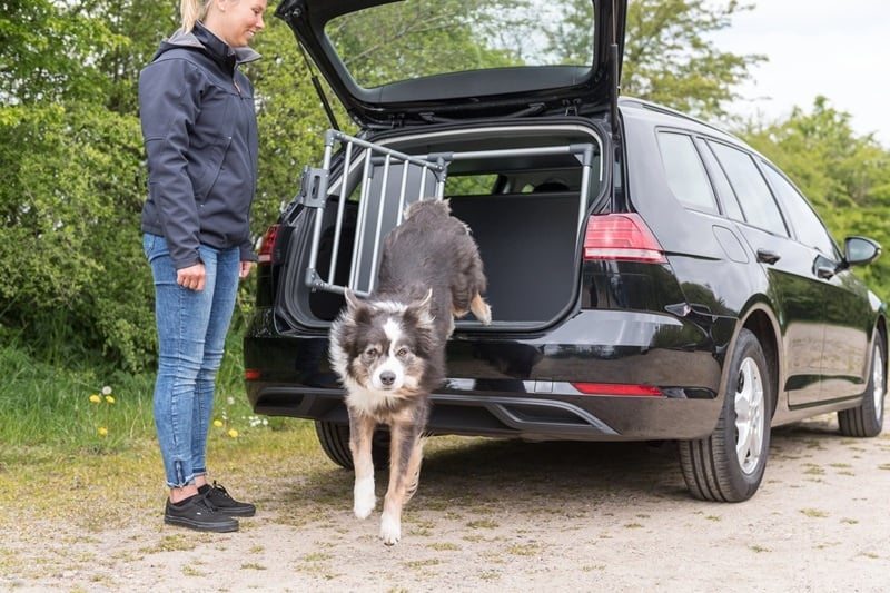 Waarom een reisbench hond essentieel is voor veilig vervoer