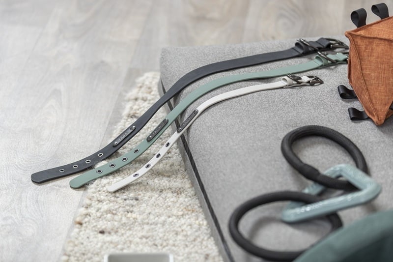 Hoe kies je de juiste hondenhalsband? – Een complete gids