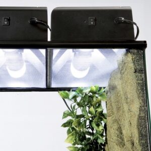 Terrarium Verlichting
