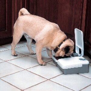 Voederautomaat hond