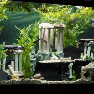 Aquarium Decoratie Ruïnes