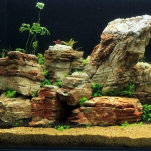 Aquarium Decoratie Rotsen