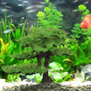 Aquarium Decoratie Kunst Planten