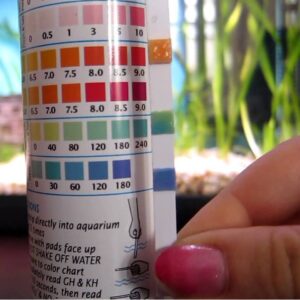 Waterbereidingsmiddel