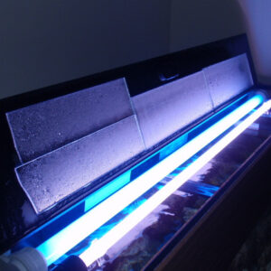 Aquarium Verlichting