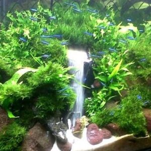 Aquarium Decoratie Waterval