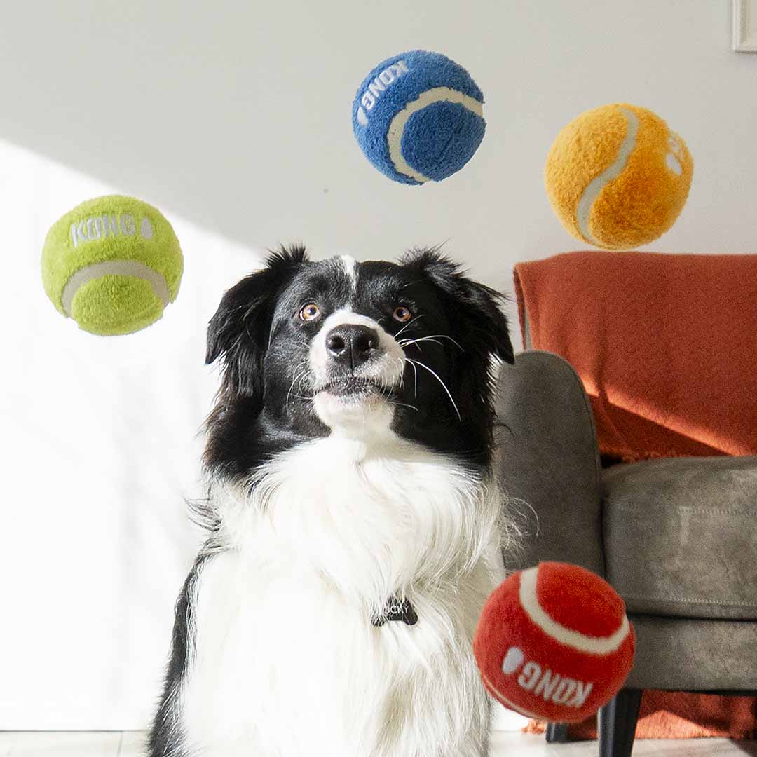 KONG Sport Softies Ball M-6x6x6cm gemengde kleuren - Afbeelding 2