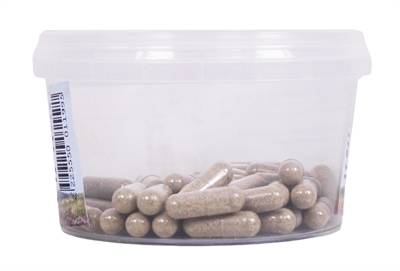 Dierendrogist Echinacea Bio Capsules 50 St - Afbeelding 3