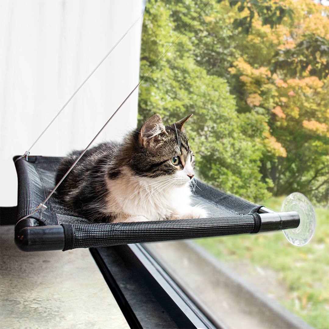 Vensterhangmat voor katten 66x40x2,5cm zwart
