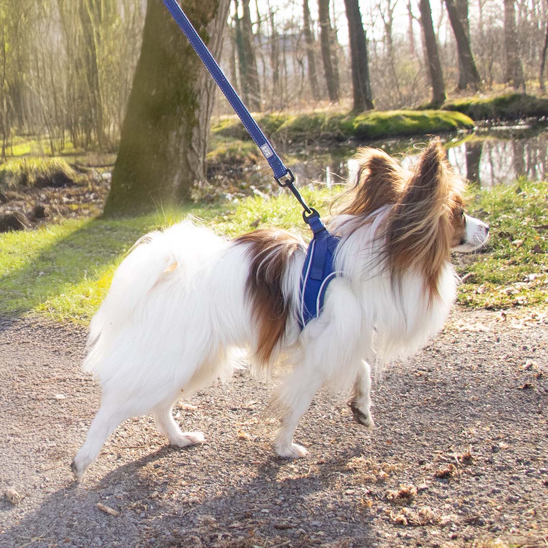 Ultimate fit kleine hond harnas XXXS - 26-30cm blauw - Afbeelding 2