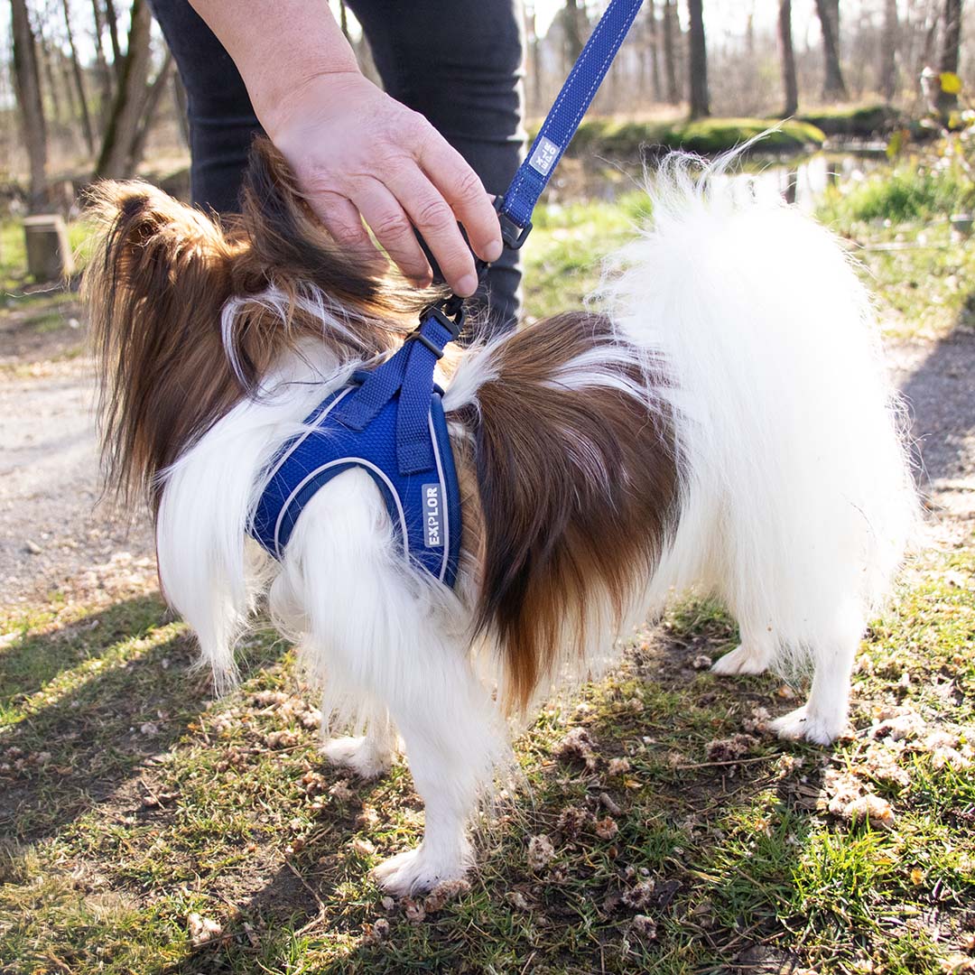 Ultimate fit kleine hond harnas XXXS - 26-30cm blauw - Afbeelding 3