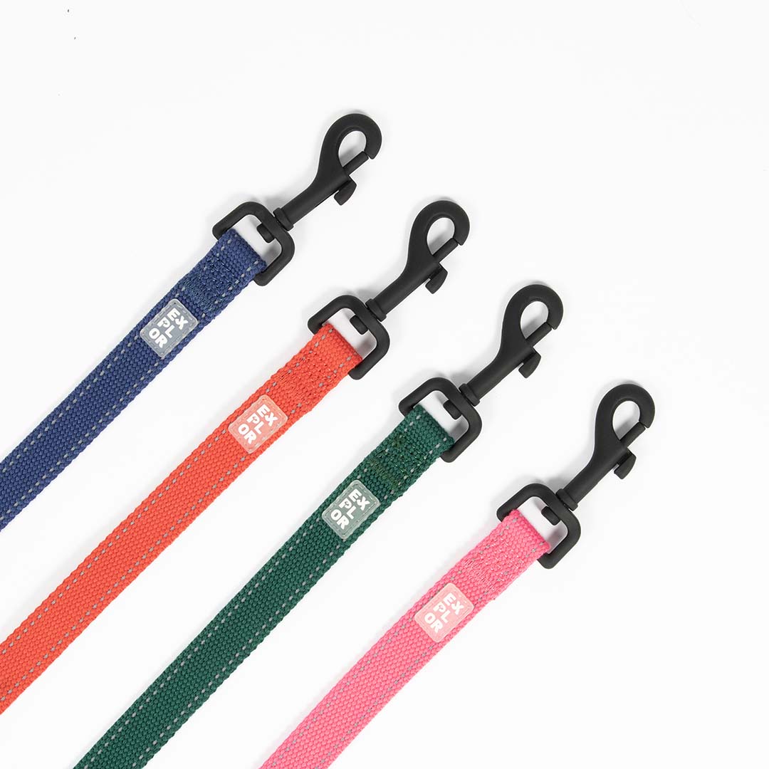 Ultimate fit kleine hond leiband 160cm - 20mm groen - Afbeelding 3