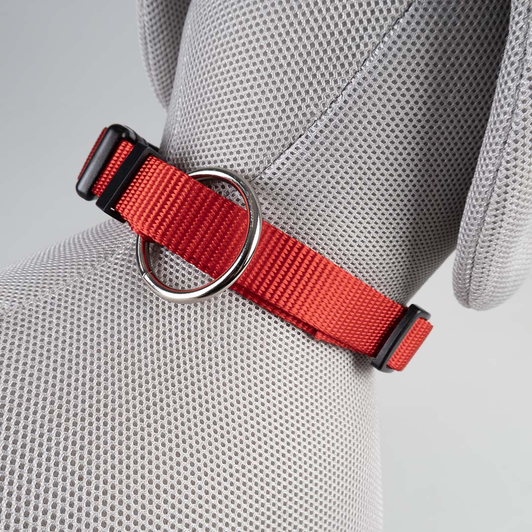 Halsband Classic XS-15-25cm/10mm rood - Afbeelding 4