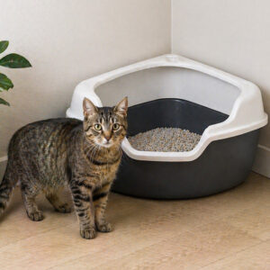 Hoek kattenbak