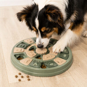 Honden snackspel