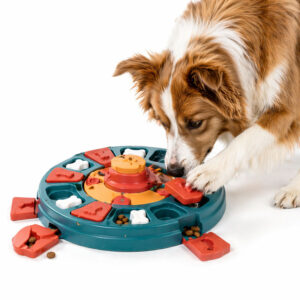 Interactief hondenspeelgoed