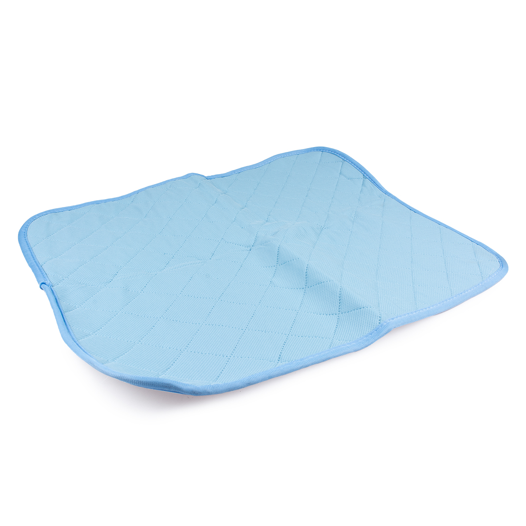 ECO Wasbare P-pad XXL - 100x68cm blauw