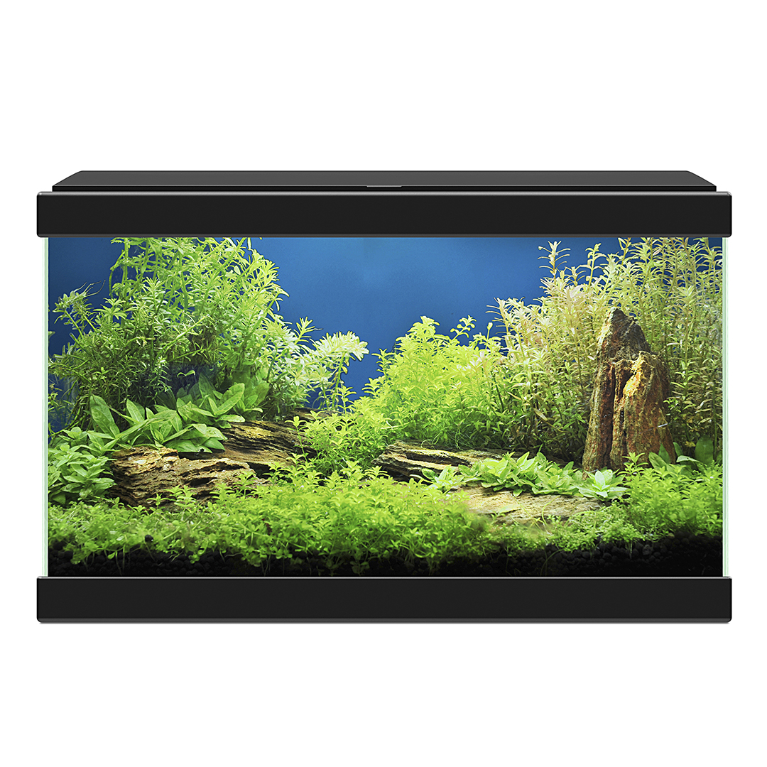 Ciano aquarium aqua 20 led 40x20x24,8cm zwart - Afbeelding 2