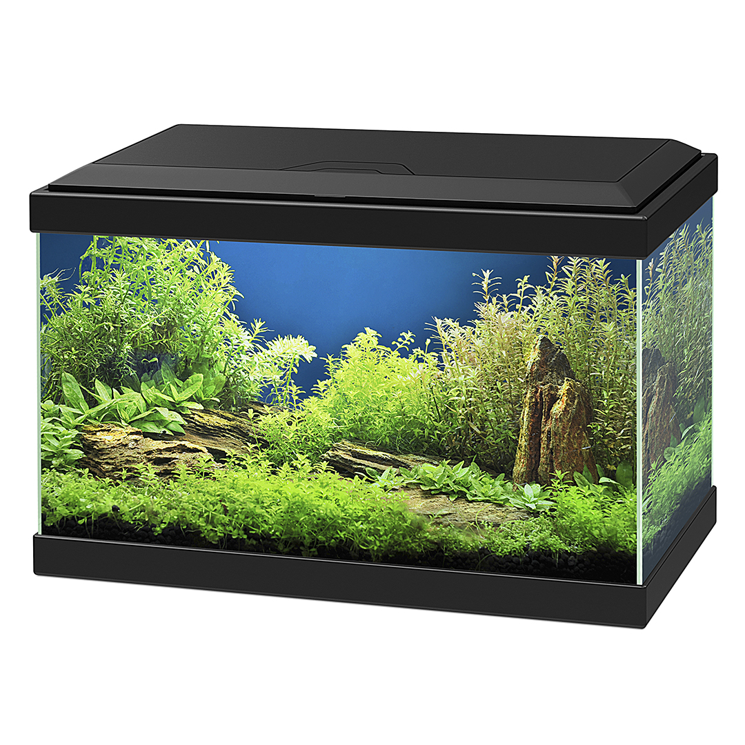 Ciano aquarium aqua 20 led 40x20x24,8cm zwart