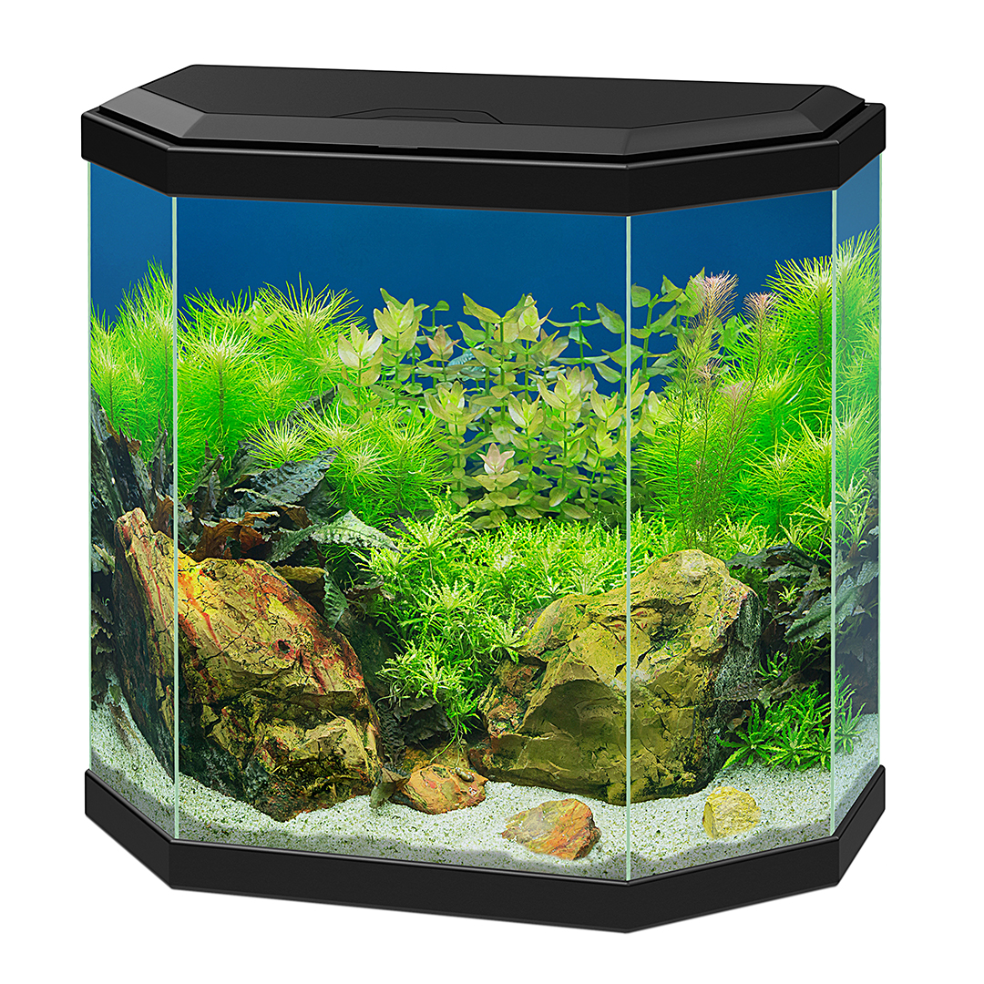 Ciano Aquarium Aqua 30 Hexa 40x20x45.5cm zwart