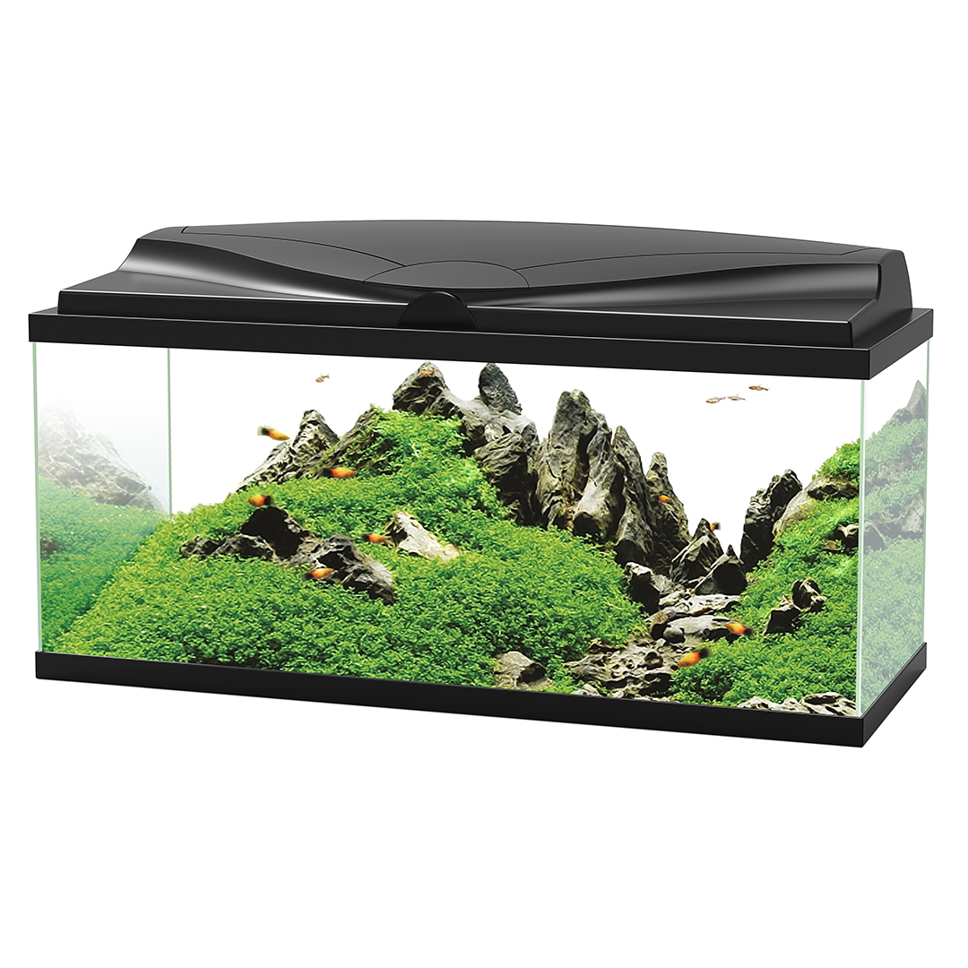 Ciano aquarium 80 led cf80 80x30x41,5cm zwart