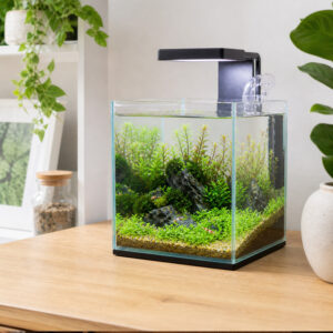 Nano aquarium